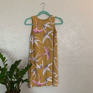 BRAND NEW ANN TAYLOR DRESS